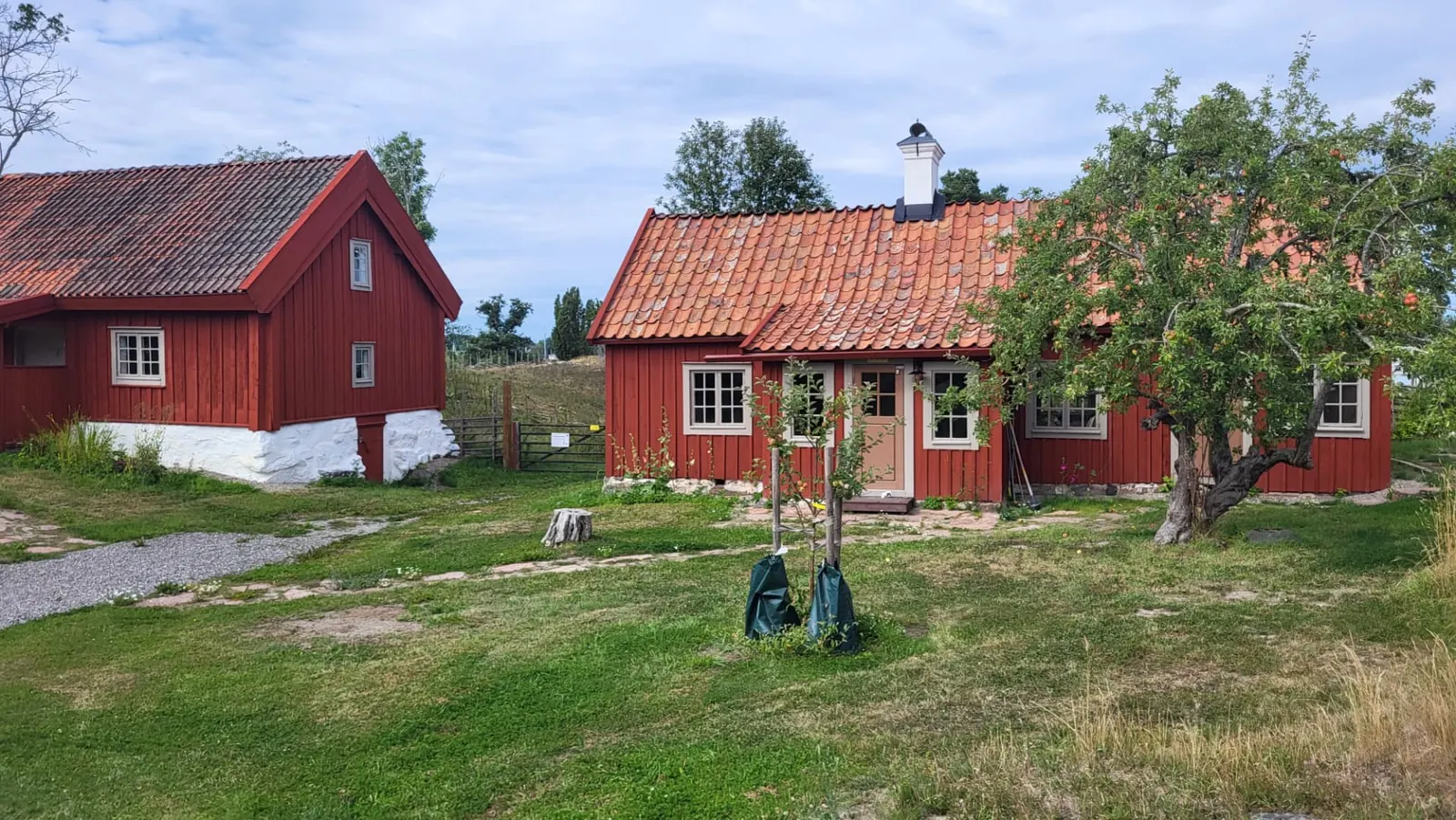 Välskötta röda stugor med vita knutar på en gräsmatta i Trosa